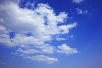白い雲