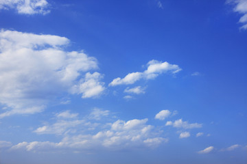 白い雲