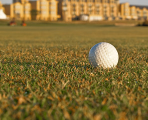 Golf ball closeup, on course.