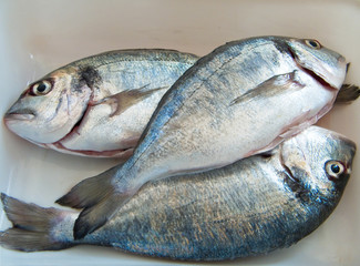 Fresh fish