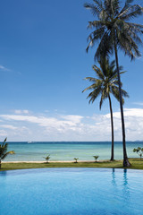 Swimming pool and palm trees. © Stephane BENITO