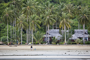 Bungalows on a tropical beach. © Stephane BENITO
