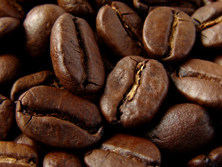 coffee beans