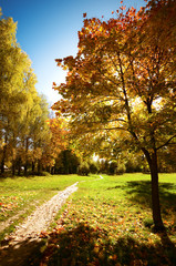 autumn landscape