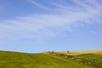 Fototapeta na wymiar rural landscape with bales