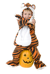 Tiger toddler sits on pumpkin