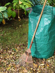 Rechen und grüner Garten Sack auf Rasen mit Laub im Herbst