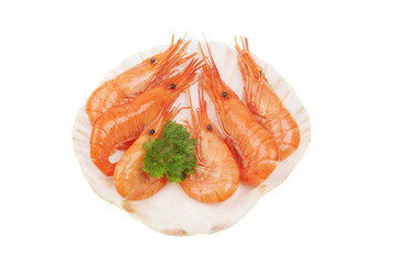 Prawns in scallop