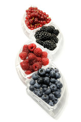 Frutti a bacca rossa