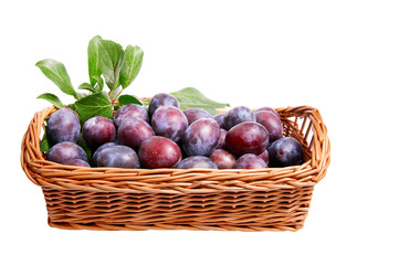 Wooden basket and juicy plums in it .