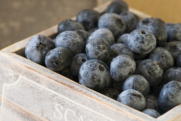 Blaubeeren