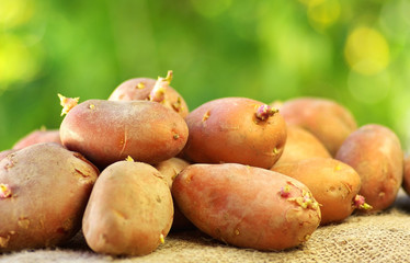 Potatoes in green background.