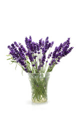 Naklejka premium plucked lavender in glass vase over white background