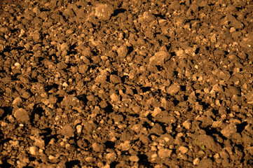 Soil