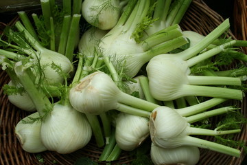 fenouil