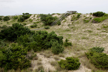 Fototapeta na wymiar A stairway to the beach on the Outer Banks, North Carolina, USA..