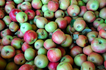 Red And Green Apple