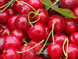 des cerises