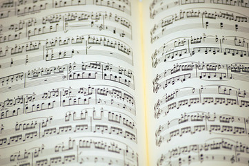 Noten / Notenpapier - colored