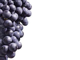 grapes on a white background
