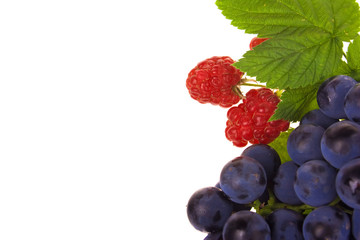 Raspberry and grapes fruit with stem and leaves