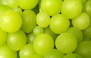 bunch of grapes