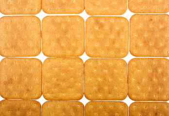 Cookie of the cracker put on white background