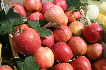 Äpfel