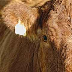 Biosphaerenreservat Bliesgau 19