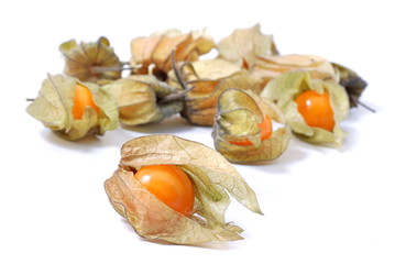 physalis