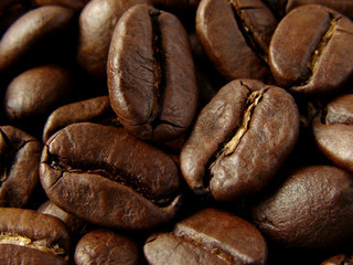 coffee beans background