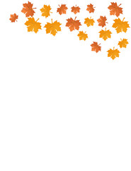 Autumn leaves vector illustration