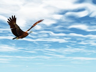 Eagle