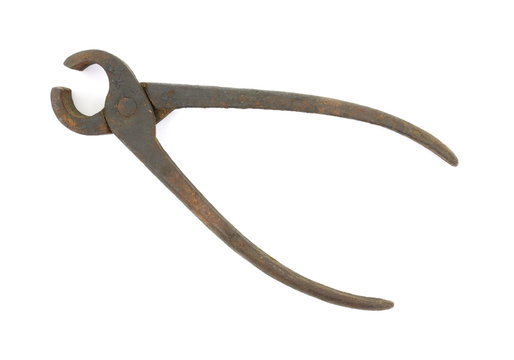 รูปภาพPincer – เลือกดูภาพถ่ายสต็อก เวกเตอร์ และวิดีโอ570,933 | Adobe Stock