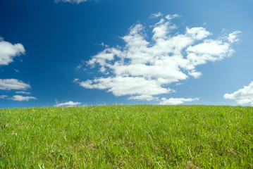 Beautiful Green Meadow with white clouds