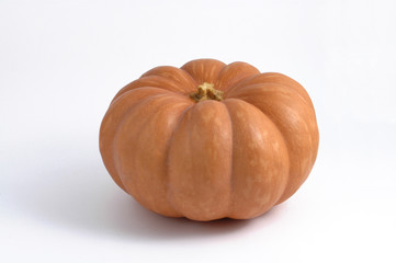 Zucca