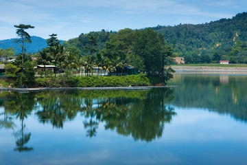 Fototapeta na wymiar Forest at a dam reflecting in the lake