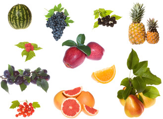 set of fruits and berries collection