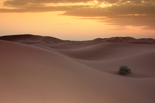 Il Sahara al tramonto