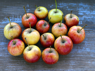 Apple fruit