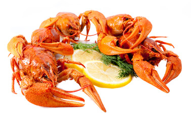 Red crawfishes with lemon and dill isolated
