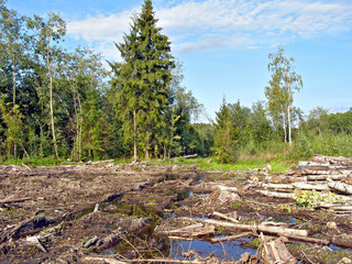 chopping wood