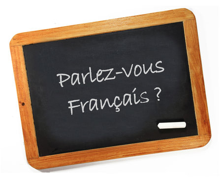 parlez-vous fran&ccedil;ais?