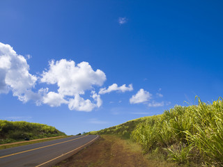 Fototapeta na wymiar Blue sky, green meadow and road at Kauai, Hawaii