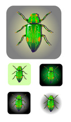 insect icon