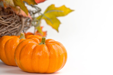 Miniature pumpkins with a fall wreath - space on right for text