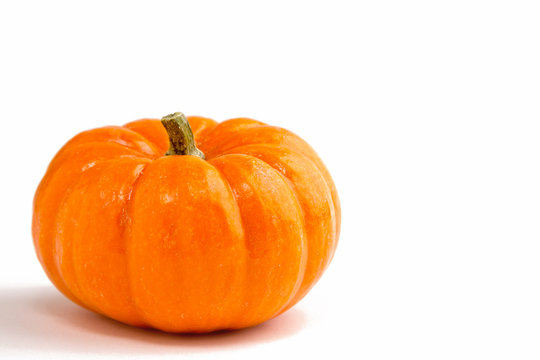 Miniature pumpkin isolated on top and sides only