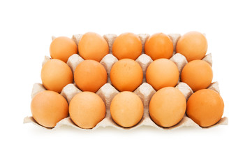 Lots of eggs in the carton isolated on white