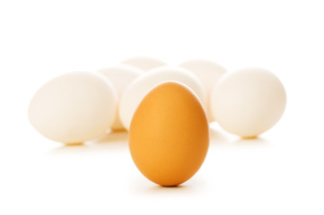 Brown egg on white - shallow depth of field