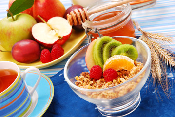 muesli with fresh fruits as diet breakfast